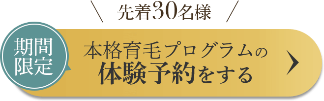 ボタン