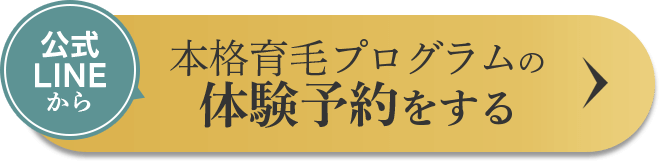 ボタン