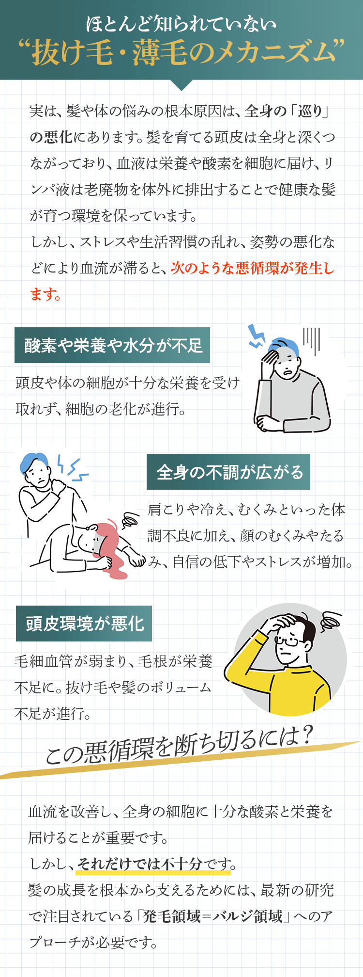抜け毛・薄毛のメカニズム