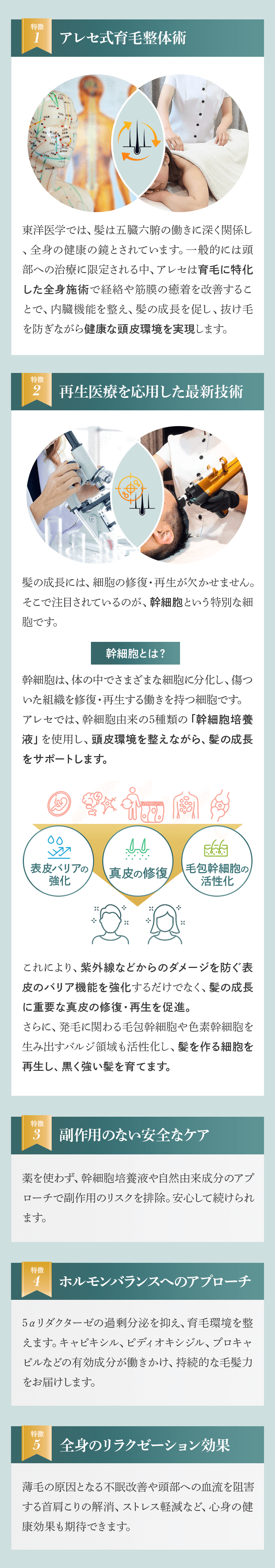 後戻りなしの髪活とは？